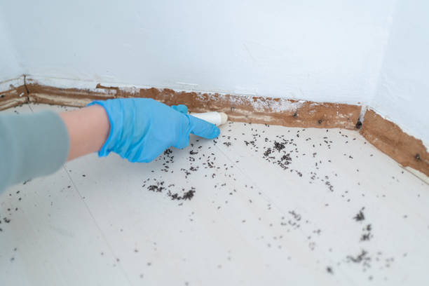 Best Commercial Pest Control  in Mount Carroll, IL